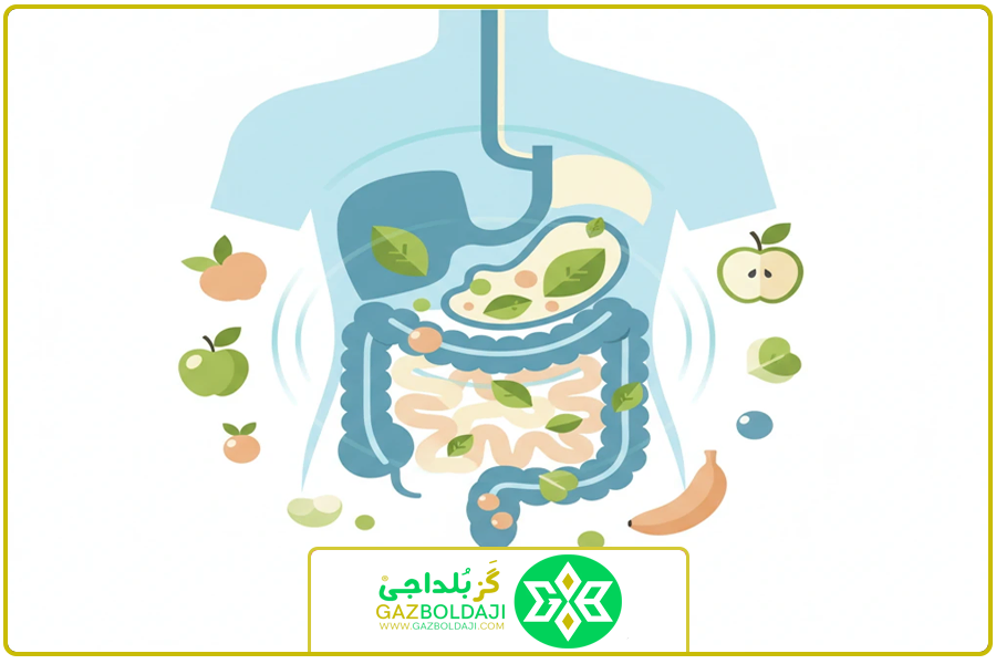 دستگاه گوارش | خاصیت گز پسته ای