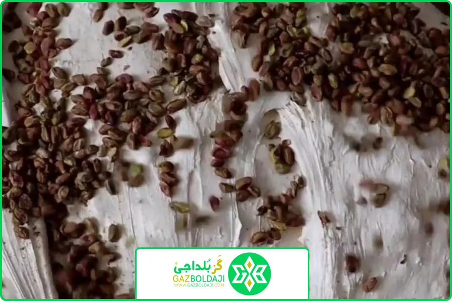 تصویر شاخص | گز بلداجی